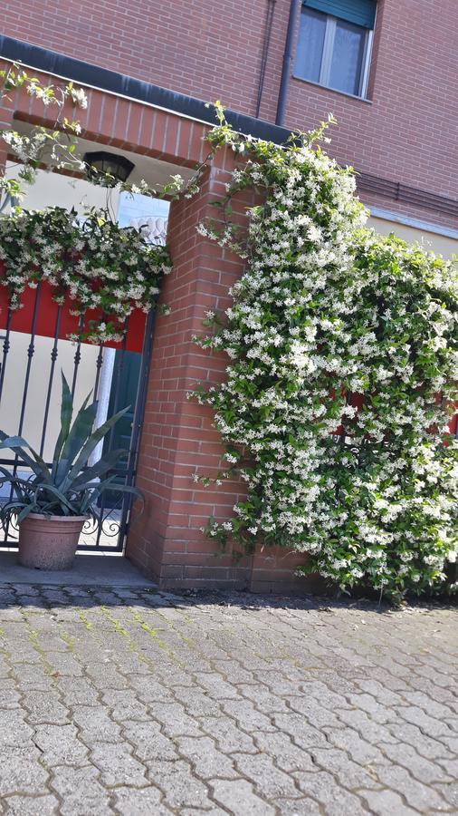 Borromeo Residenze Service S.a.s Guest house